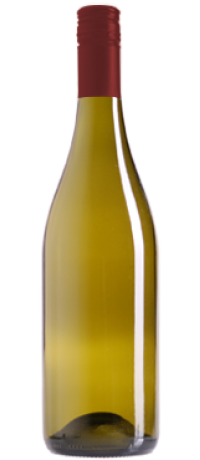 Chardonnay